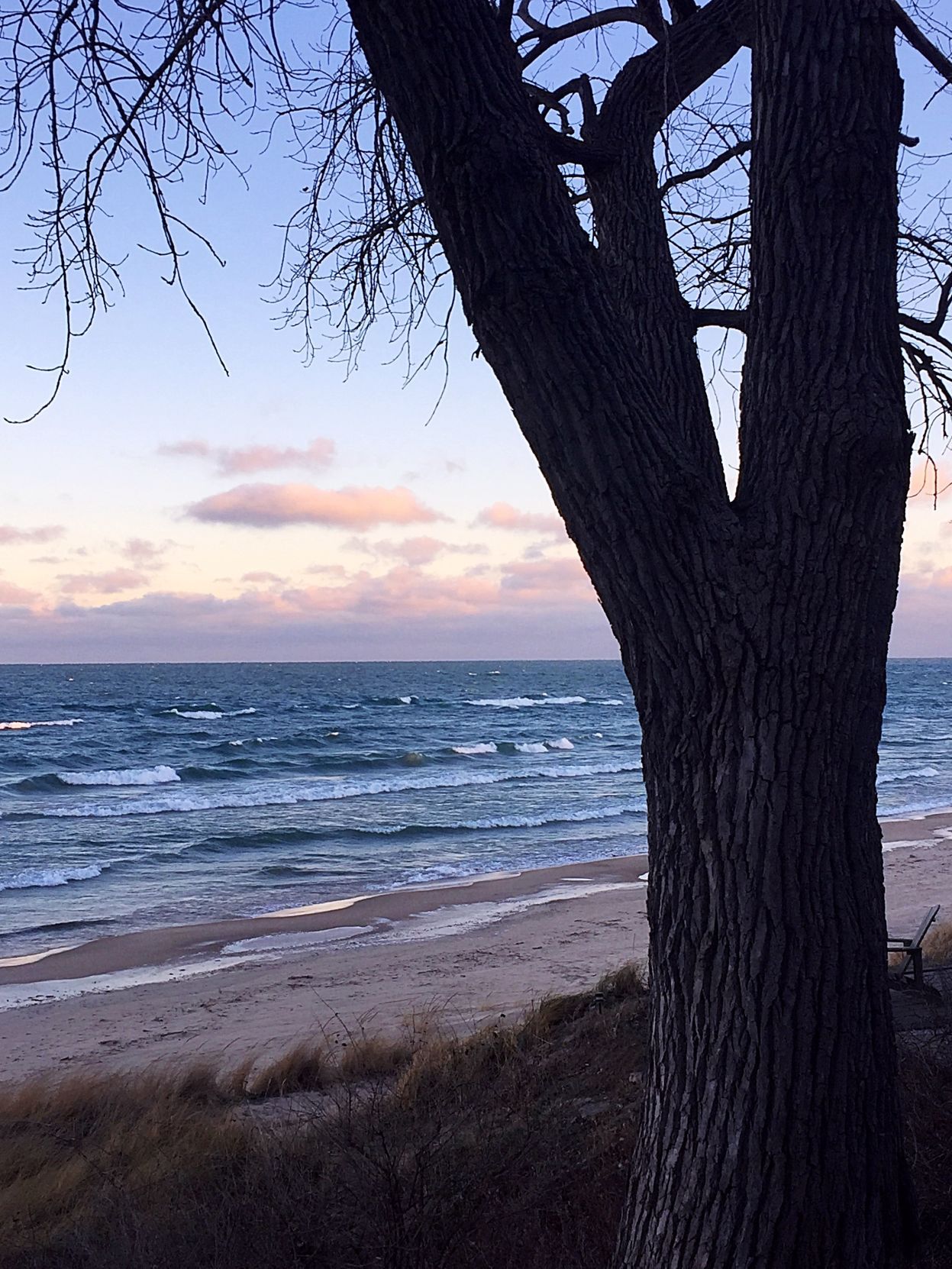 beaches
